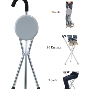 Canne avec assise pliable